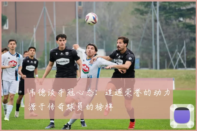 韦德谈夺冠心态：追逐荣誉的动力源于传奇球员的榜样