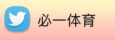 必一体育 Logo